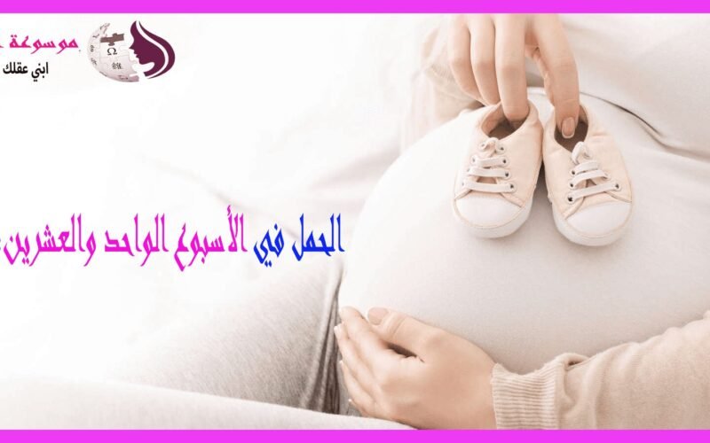 الأسبوع الحادي والعشرون من الحمل تطور الجنين .. أعراض الأم .. ونصائح مهمة