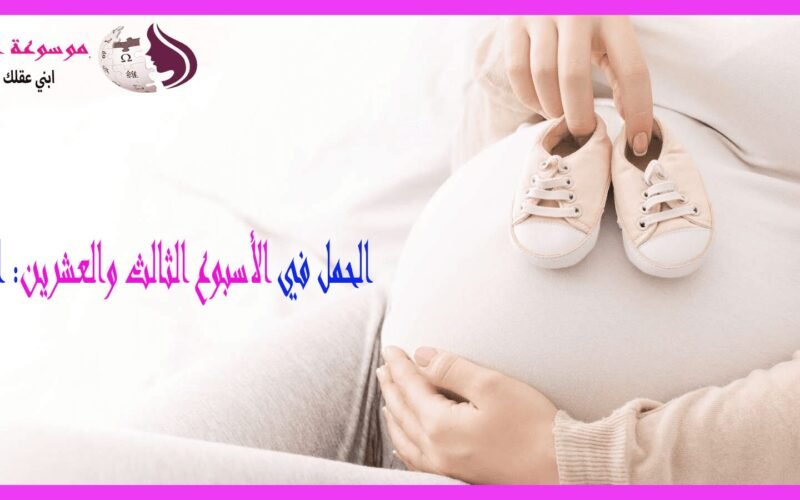 الأسبوع الثالث والعشرون من الحمل تطور الجنين بشكل ملحوظ