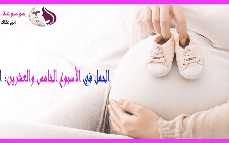 الأسبوع الخامس والعشرون من الحمل تطور الجنين .. أعراض الأم .. ونصائح مهمة