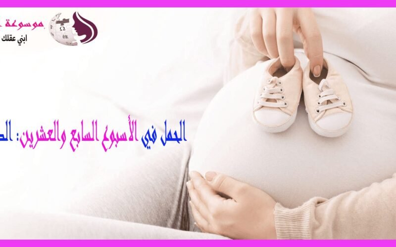 الأسبوع السابع والعشرون من الحمل تطور الجنين واستعدادات الدخول في الثلث الأخير