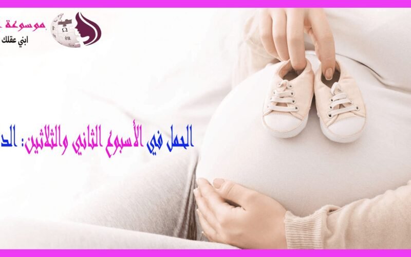 الأسبوع الثاني والثلاثين من الحمل نمو الجنين، أعراض الأم، والاستعداد للولادة