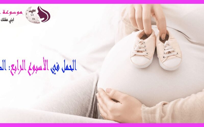 الأسبوع الرابع من الحمل بداية ظهور الأعراض وتأكيد الحمل