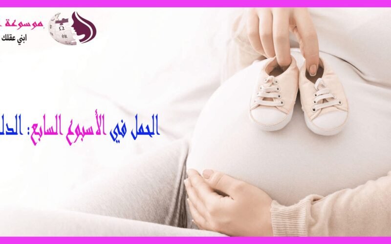 الأسبوع السابع من الحمل تطورات مهمة للجنين وتغيرات واضحة للأم