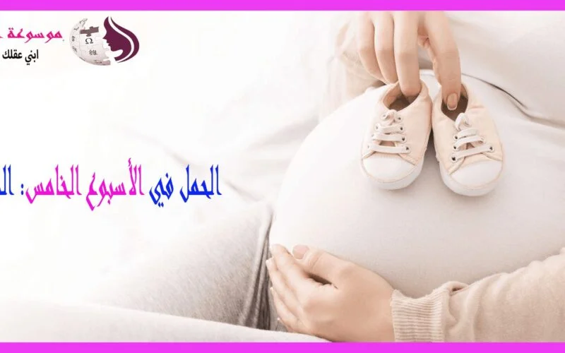 الأسبوع الخامس من الحمل أعراضه وتطور الجنين ونصائح مهمة للأم