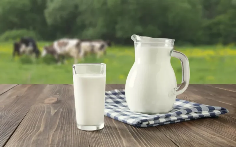 ما هي فوائد الألبان ومشتقاتها